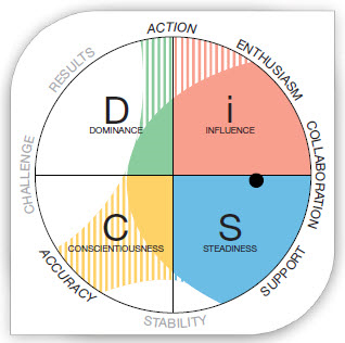 DiSC Style Blend